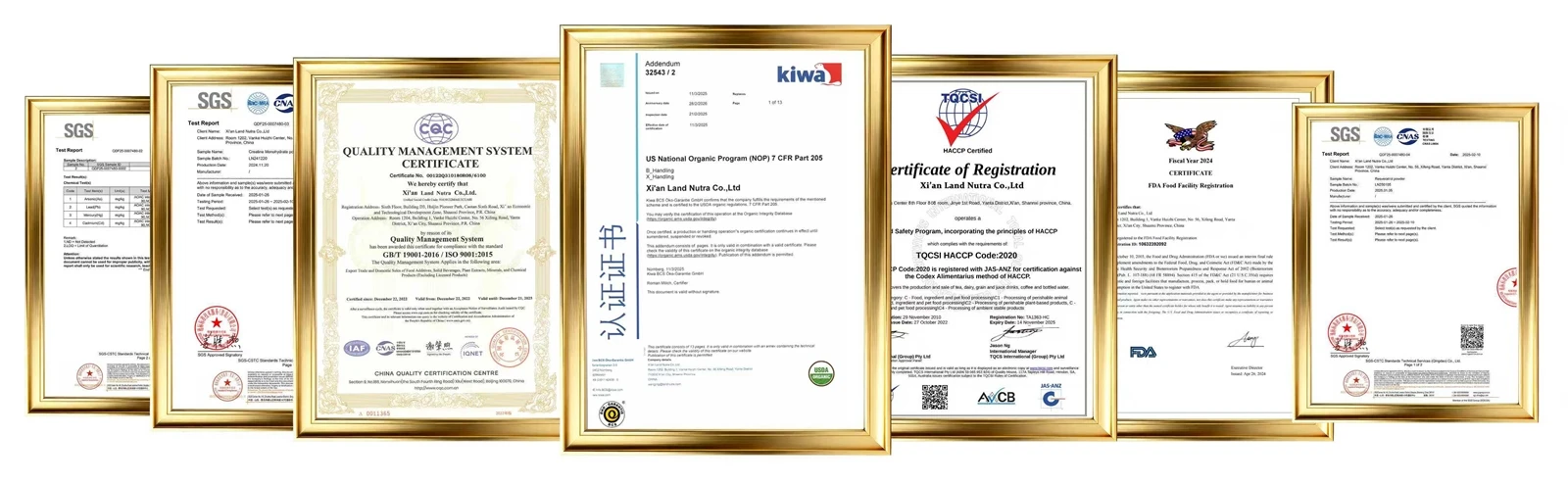 lactobacillus-strains-probiotics-certificate-coa lactobacillus-strains-probiotics-certificate-coa